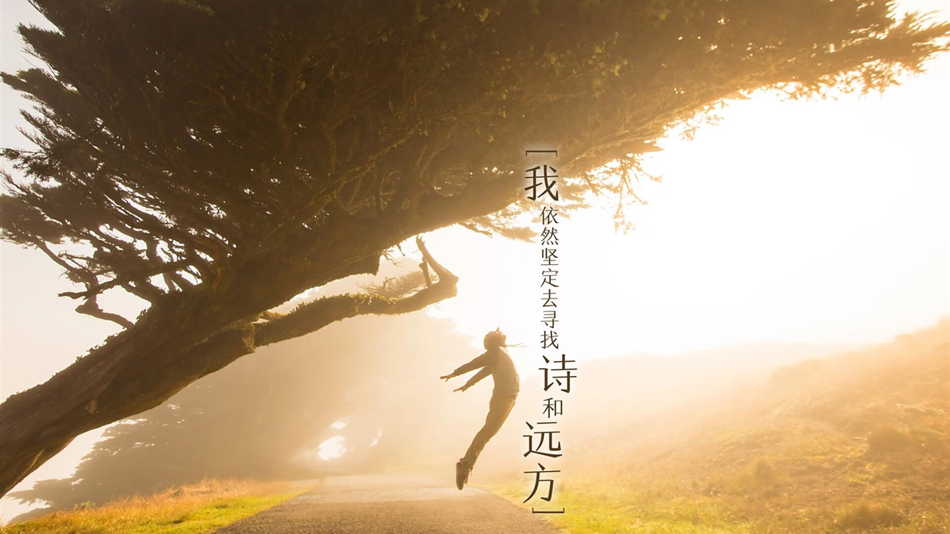 中国篮球青少年篮球培训机构发展现状，青少年篮球培训机构未来发展趋势