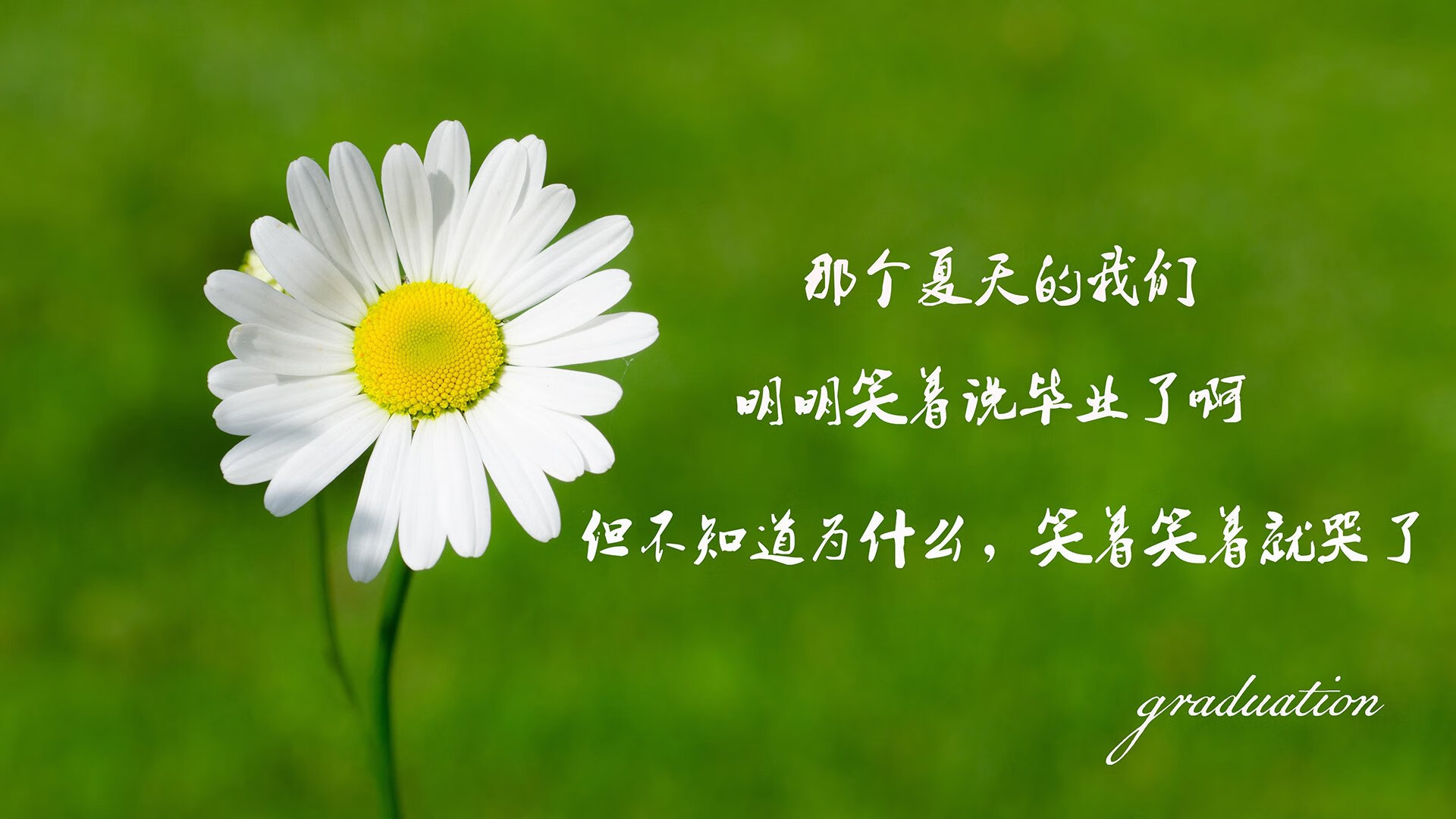 AIYOUXI.COM-兴隆湖滨赛事周圆满收官，市民点赞不断，兴隆湖宣传视频