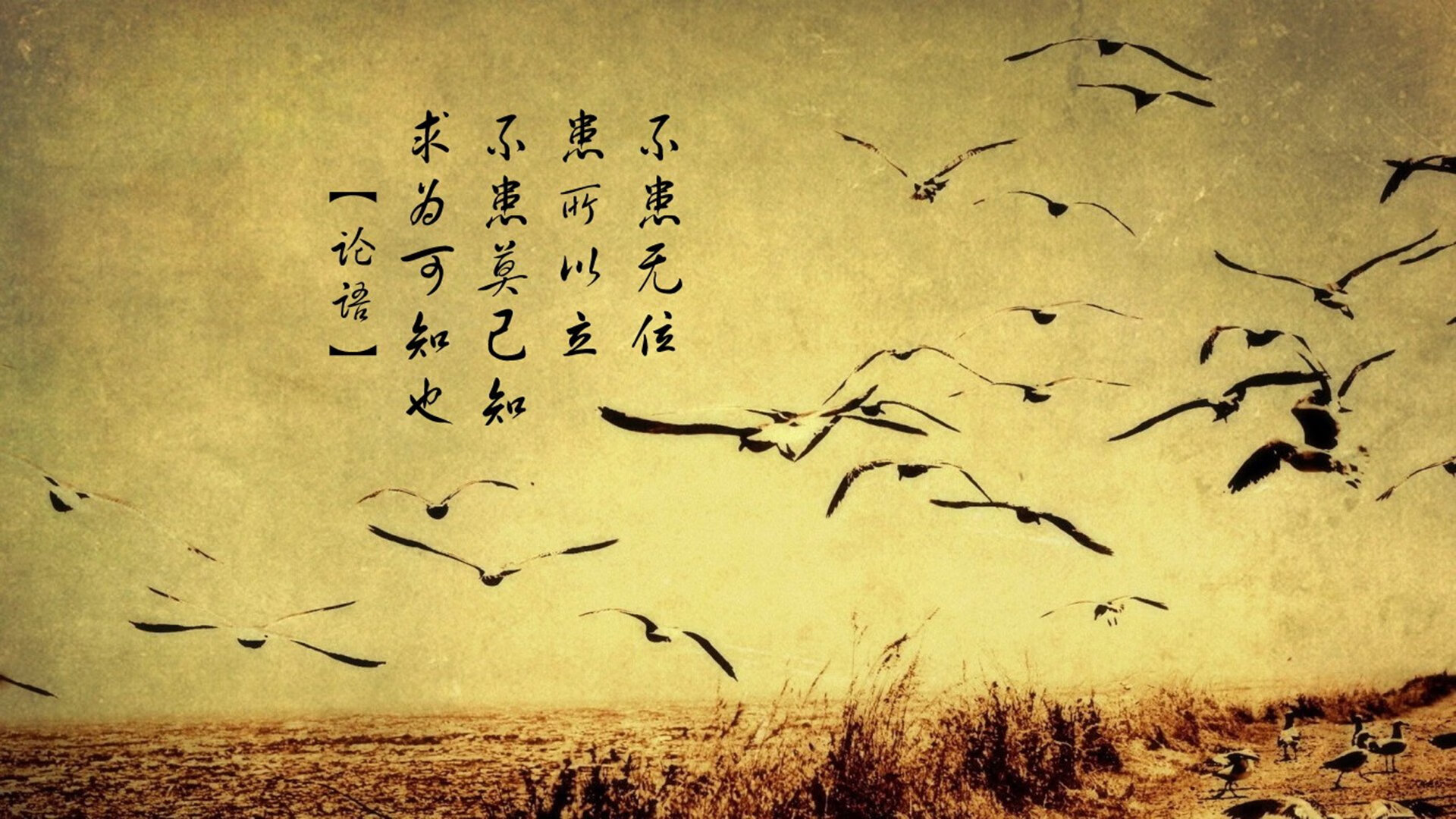 -凯尔特人社交平台连载球员成长故事，凯尔特人现状