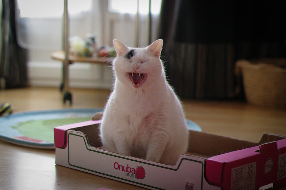 爱游戏综合娱乐-王楚钦刷新赛会纪录乒乓球世锦赛，王楚钦世界乒乓球最新排名