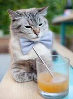 爱游戏官网-西亚卡姆表示进攻端更加注重决策质量，西亚卡姆潜力大不大